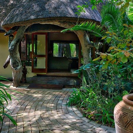 Royal Tree Lodge Maun Ngoại thất bức ảnh
