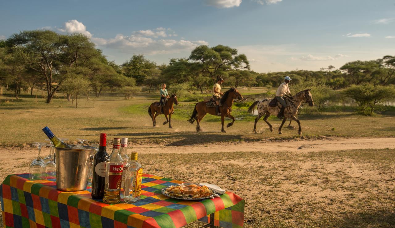 Royal Tree Lodge Maun Ngoại thất bức ảnh